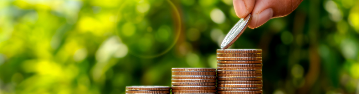 La riforma delle pensioni e la sua sostenibilità economica e sociale